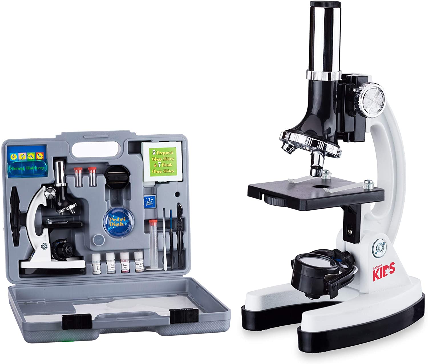 10 Best Microscopes for Students in 2026 | StartSchoolNow