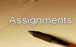 Assignment