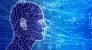 Information Technology Major