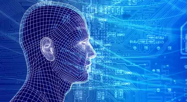 Information Technology Major