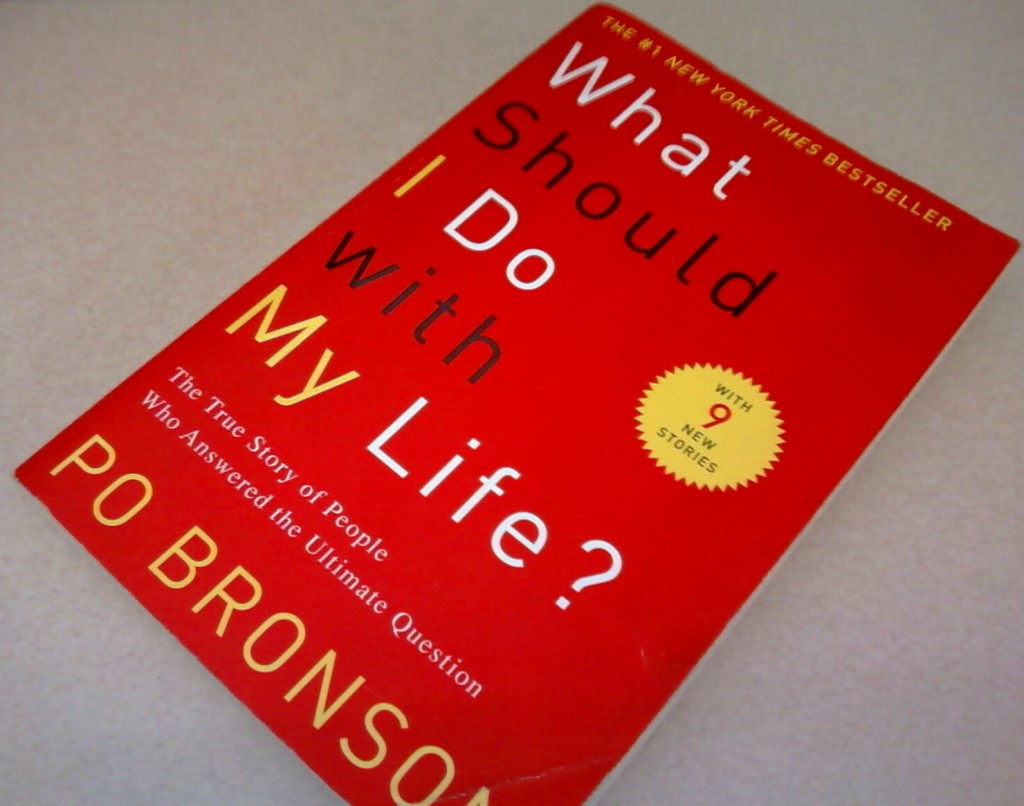 Book cover: What Should I Do With My Life