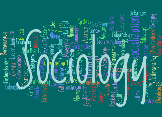 sociology major